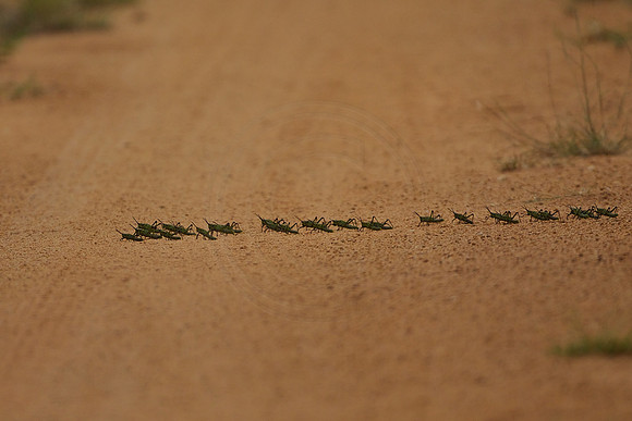 In a row