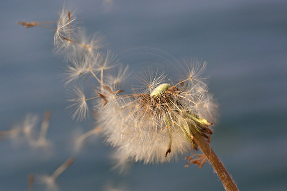 Breezed on...
