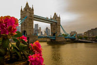 From the River's edge