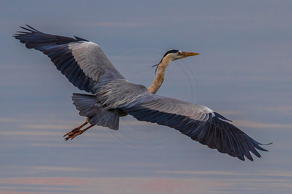 Banking to land