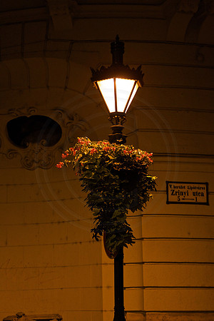 On the corner