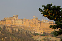 Amber Fort