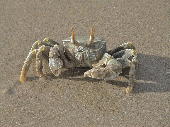 On the beach