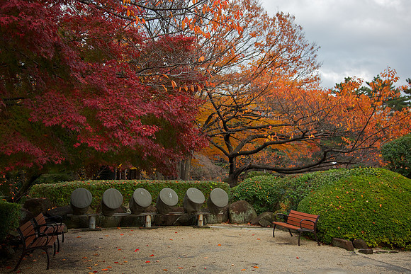 Autumn leaves