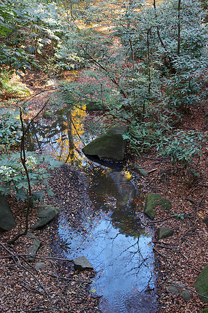 Tokyo park