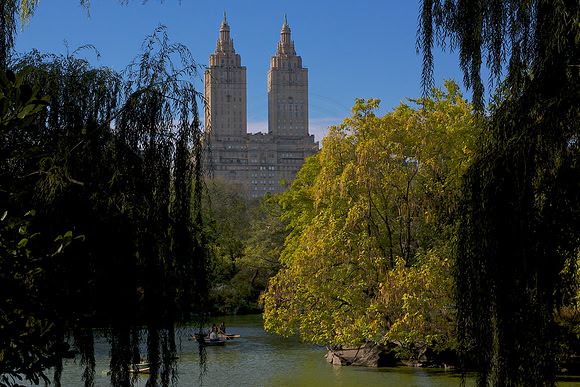 The park